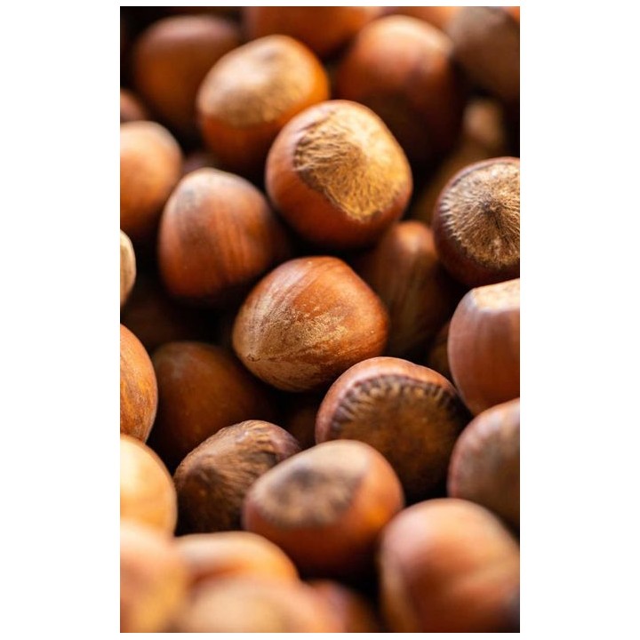 Syrop barmański orzech laskowych 700 ml do drinków kawy deserów TEISSEIRE AMK