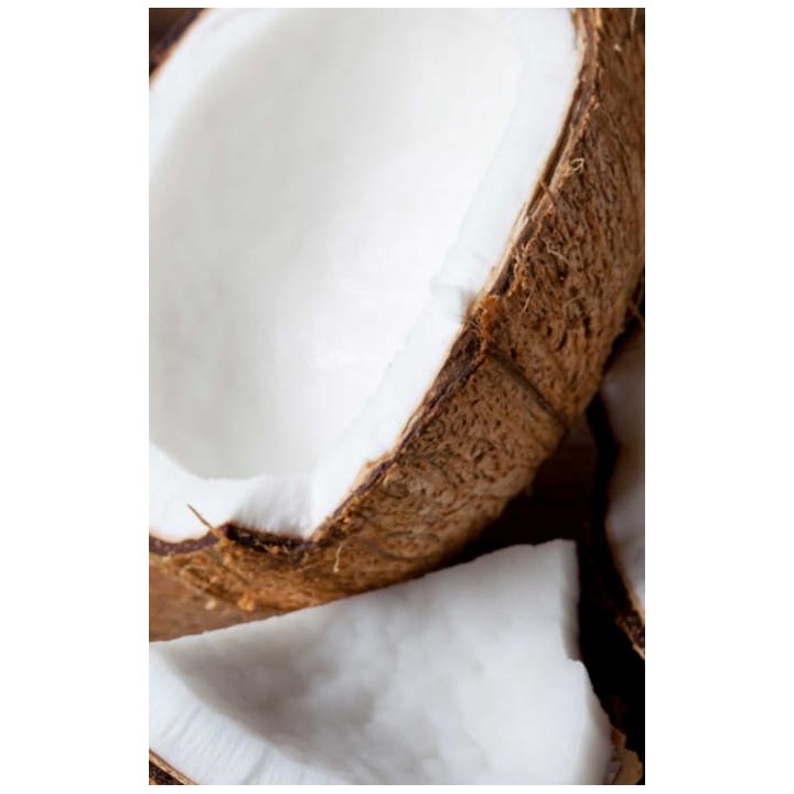 Syrop barmański Kokosowy 700 ml do kawy drinków syrop barmański TEISSEIREAMK