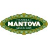 Mantova