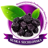 Suska Sechlonska